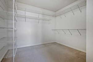 Walk in closet featuring carpet flooring