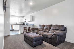 Carpeted living room featuring sink and a textured ceiling