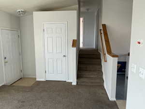 Stairway featuring carpet flooring