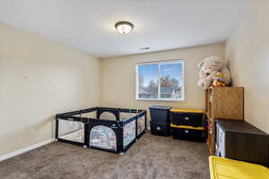 Bedroom featuring carpet