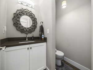 Bathroom with vanity, wood-type flooring, and toilet