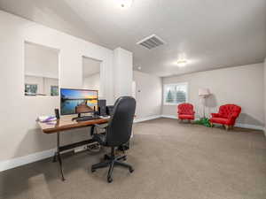 Office area with carpet floors and a textured ceiling