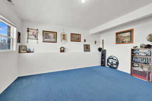 Misc room with a textured ceiling and carpet flooring