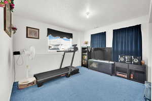 Workout room featuring carpet flooring and a textured ceiling