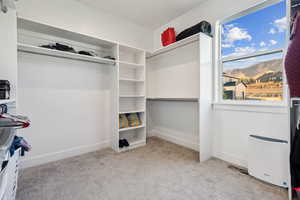 Spacious closet with light carpet