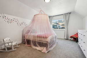 Carpeted bedroom featuring lofted ceiling and a textured ceiling