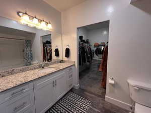 Bathroom featuring hardwood / wood-style flooring, vanity, and toilet