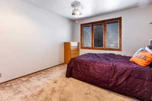 Bedroom with carpet floors