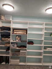 Spacious closet featuring carpet flooring