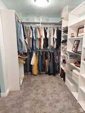 Walk in closet with carpet flooring