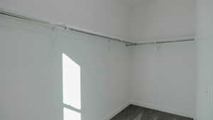 Spacious closet with dark carpet