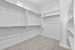 Spacious closet featuring light colored carpet