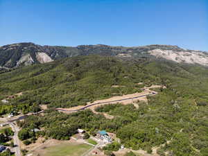 View of mountain background featuring a heavily wooded area