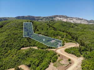 Aerial view of property and surrounding area with a forest, property boundaries highlighted, and a mountain backdrop