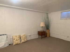 Basement featuring carpet and a textured ceiling