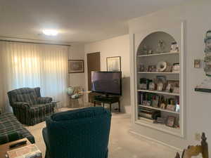 Living room featuring built in features, carpet flooring, and a textured ceiling