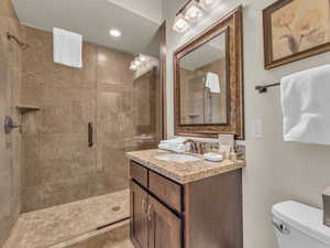 Bathroom featuring toilet, a shower stall, and vanity