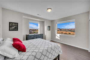 Bedroom featuring dark hardwood / wood-style flooring