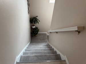 Stairs featuring carpet floors