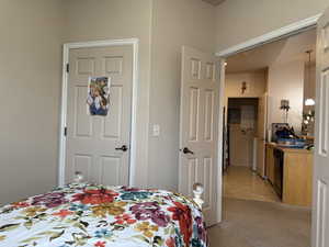 Third Bedroom Other View featuring light colored carpet