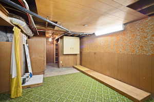 Basement with wood walls