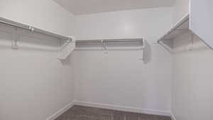 Spacious closet featuring dark colored carpet