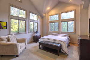 Carpeted bedroom with high vaulted ceiling