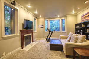 Interior space with a premium fireplace, carpet flooring, and crown molding