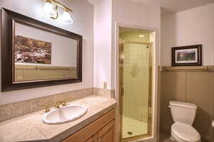 Bathroom featuring vanity, an enclosed shower, and toilet