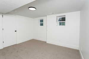 Main home basement bedroom.