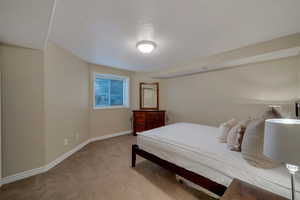 large basement bedroom