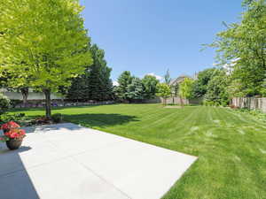 View of yard with a patio