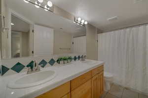 Basement Bathroom 2