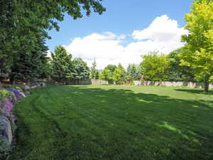 View of yard with a playground