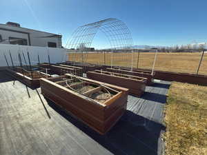 Garden boxes galore!