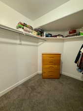 Huge walk-in closet in mother-in-law apartment