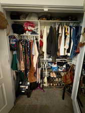 Accessory apartment master bedroom closet #3