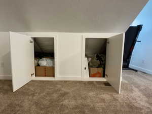 Top floor bonus room finished attic storage areas