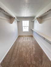 Spacious closet featuring carpet flooring