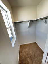 Walk in closet with carpet flooring