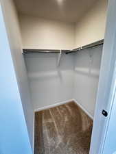 Spacious closet with carpet