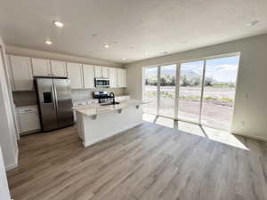Kitchen featuring stainless steel appliances, a sink, light wood finished floors, light countertops, and recessed lighting