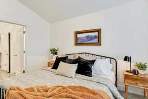 Bedroom with vaulted ceiling