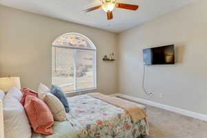 Carpeted bedroom featuring multiple windows and ceiling fan