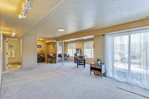 Interior space with a textured ceiling and carpet