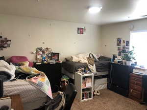 Bedroom with light colored carpet