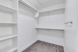 Walk in closet with carpet