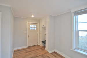 Entryway featuring crown molding, plenty of natural light, and wood-type flooring