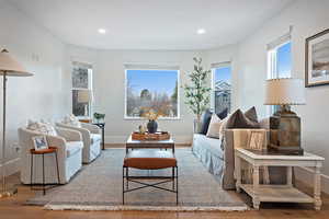 Living room featuring wood-type flooring