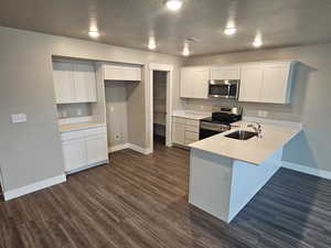 Kitchen with stainless steel appliances, dark hardwood / wood-style floors, and white cabinets